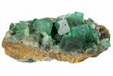 Fluorite Crystal Cluster - Rogerley Mine #132975-1